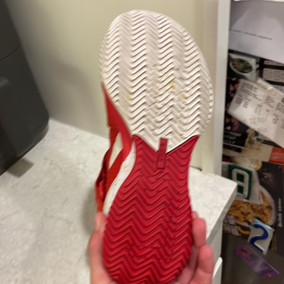 Lebron - Picture 2 of 3